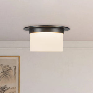 Mineral Flush Mount