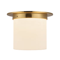 Mineral Flush Mount
