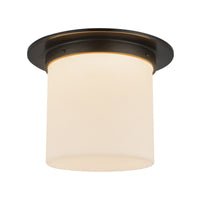 Mineral Flush Mount