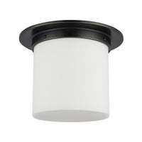 Mineral Flush Mount
