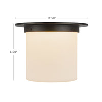 Mineral Flush Mount