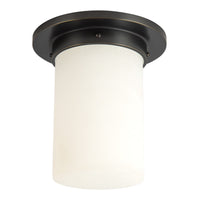 Mineral Flush Mount