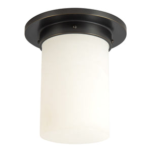 Mineral Flush Mount