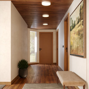 Mio Flush Mount