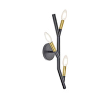 Morgan 3LT Wall Sconce