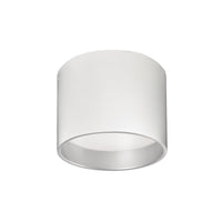 Mousinni Flush Mount