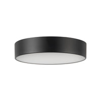 Musa Flush Mount