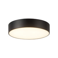 Musa Flush Mount
