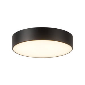 Musa Flush Mount