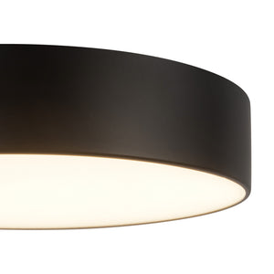 Musa Flush Mount
