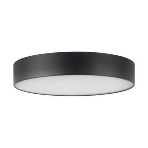 Musa Flush Mount