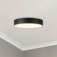 Musa Flush Mount
