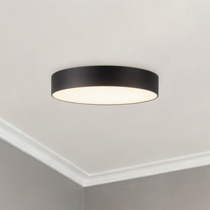 Musa Flush Mount