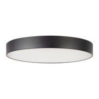 Musa Flush Mount