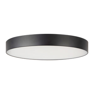 Musa Flush Mount