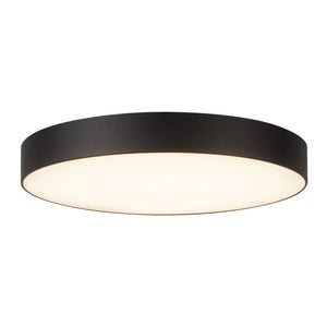 Musa Flush Mount