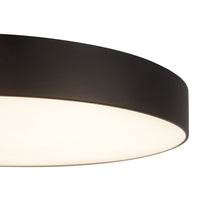 Musa Flush Mount