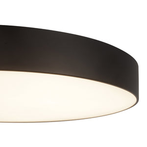 Musa Flush Mount