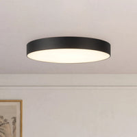 Musa Flush Mount