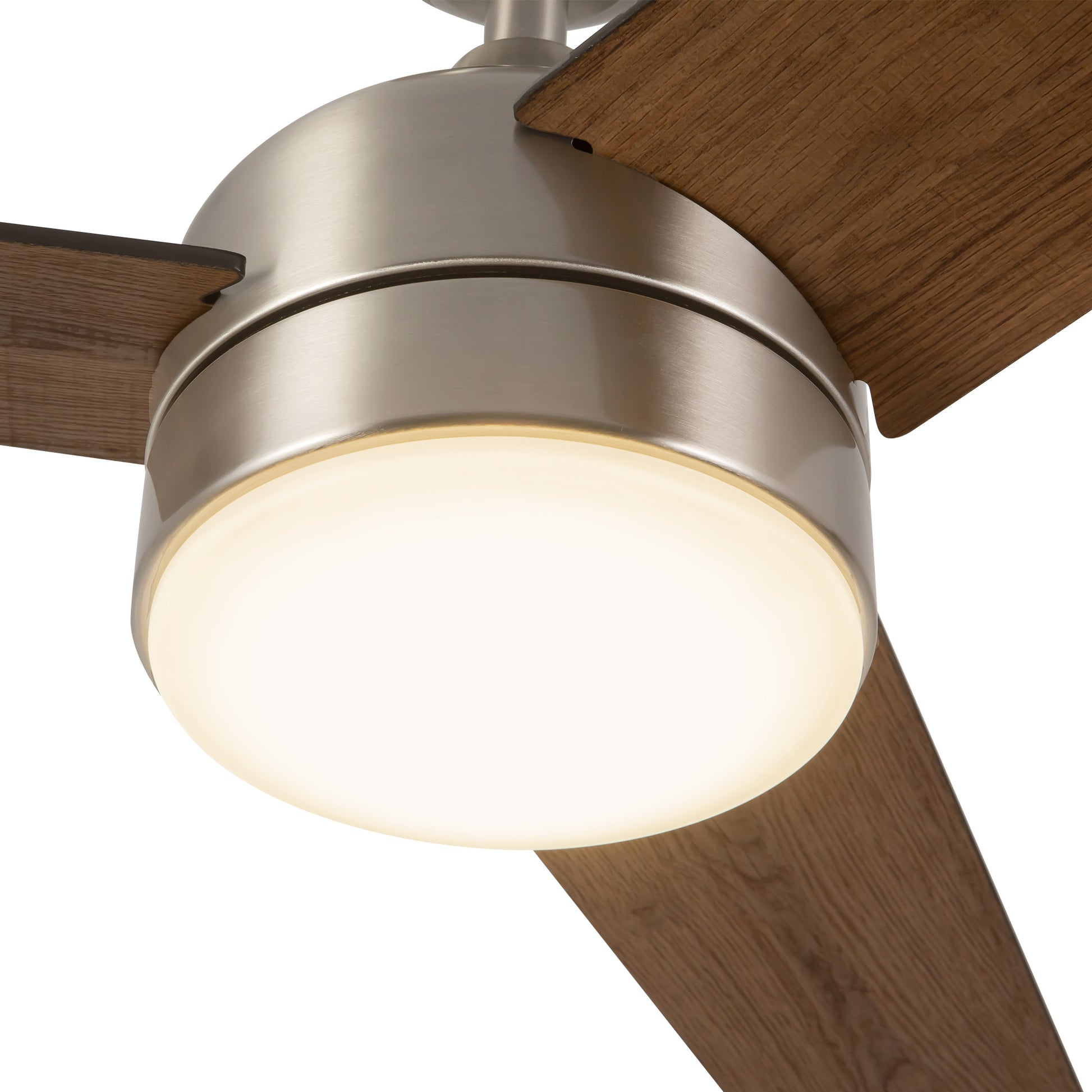 Nash Ceiling Fan