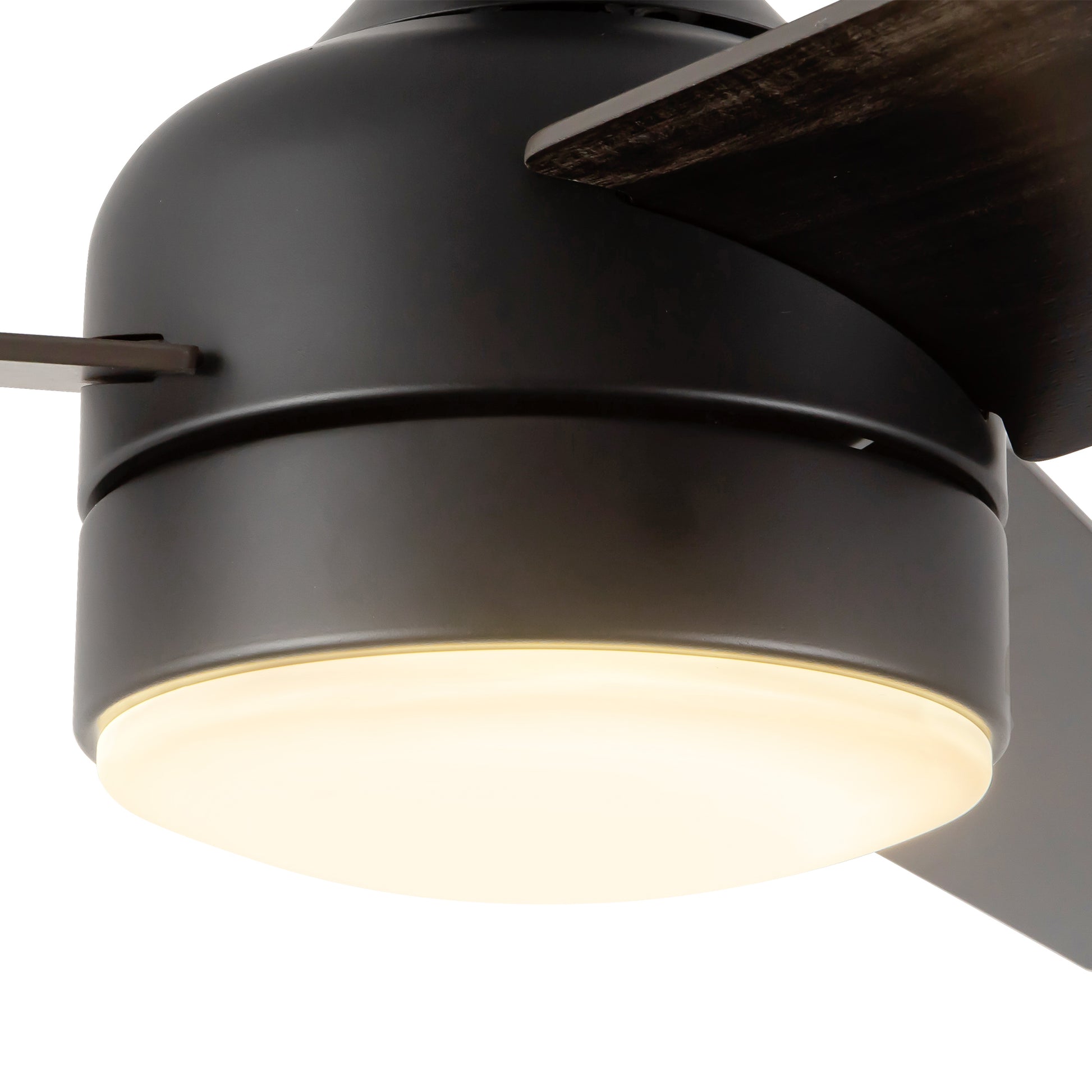 Nash Ceiling Fan