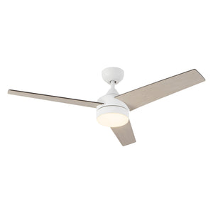 Nash Ceiling Fan