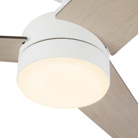 Nash Ceiling Fan