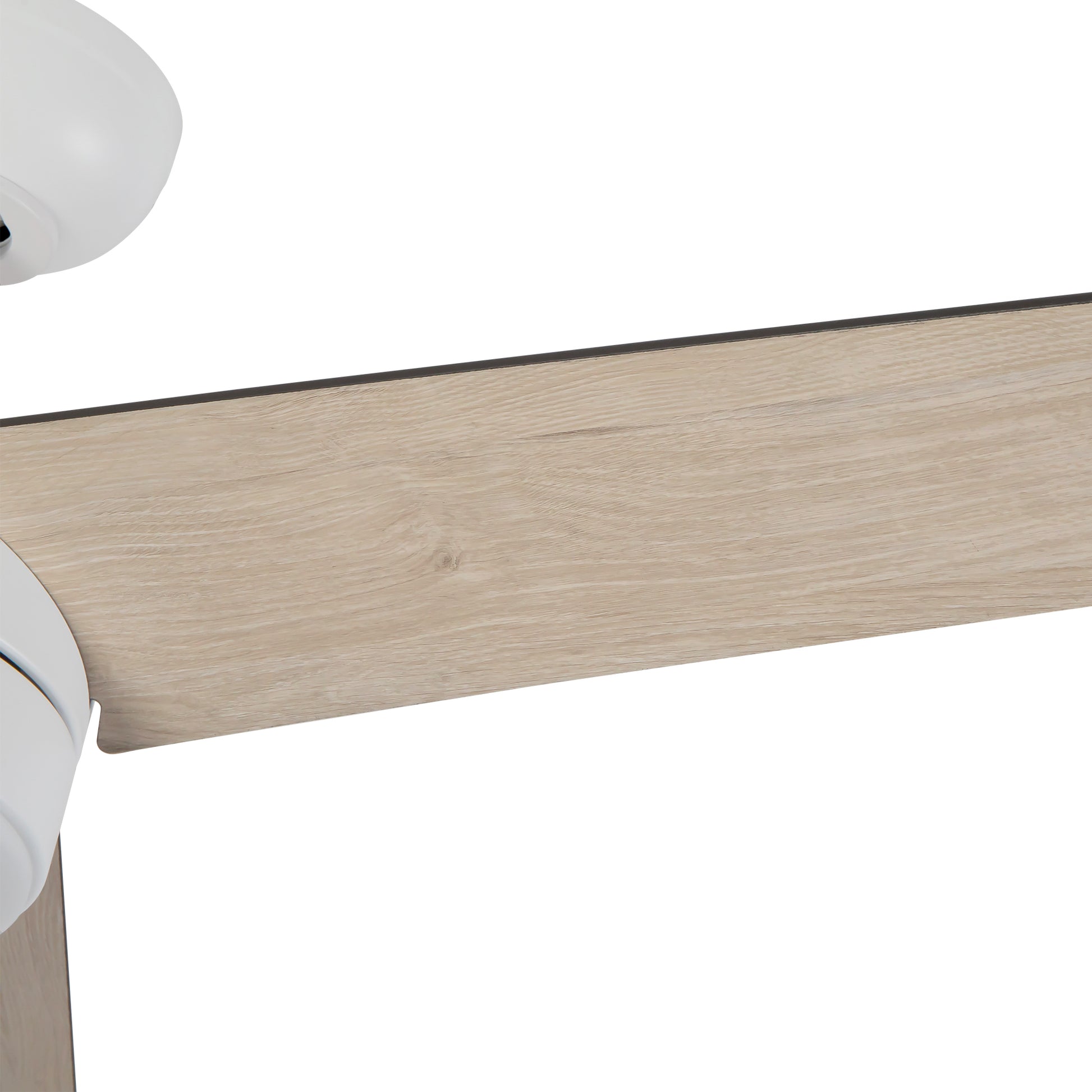 Nash Ceiling Fan