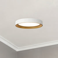 Nix Flush Mount