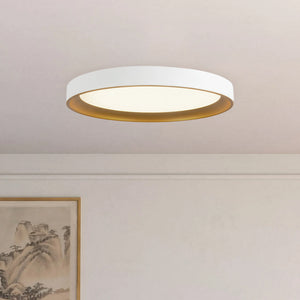 Nix Flush Mount