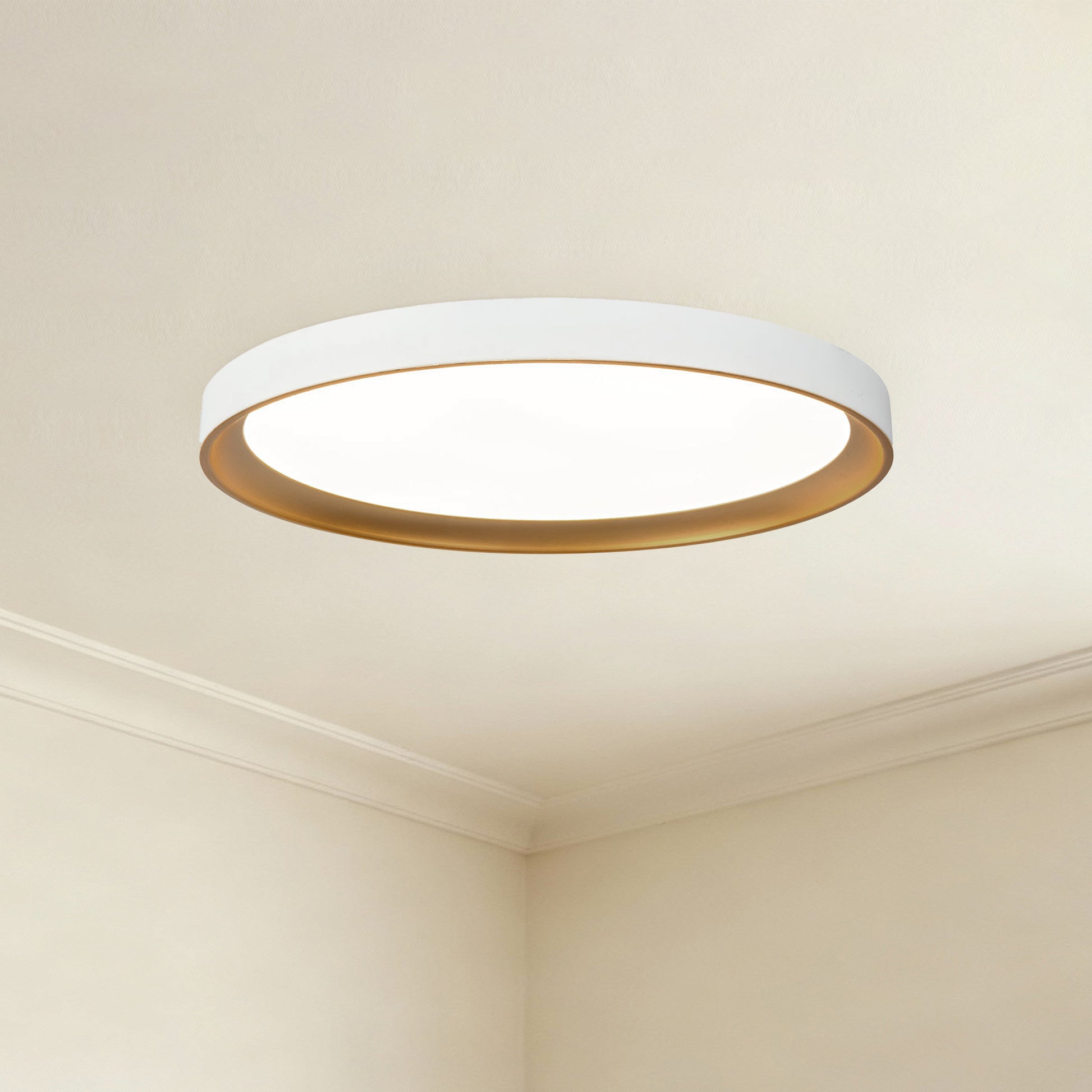 Nix Flush Mount
