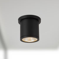 Nordic Exterior Ceiling