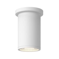 Nordic Exterior Ceiling
