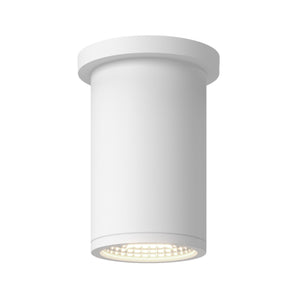Nordic Exterior Ceiling