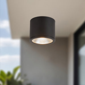 Nordic Exterior Ceiling