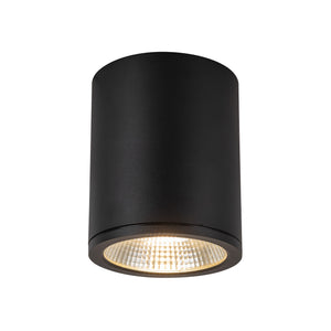 Nordic Exterior Ceiling