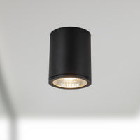 Nordic Exterior Ceiling