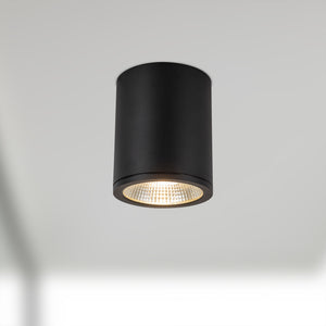 Nordic Exterior Ceiling