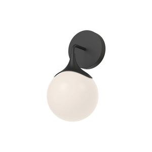 Nouveau Wall/Vanity Light