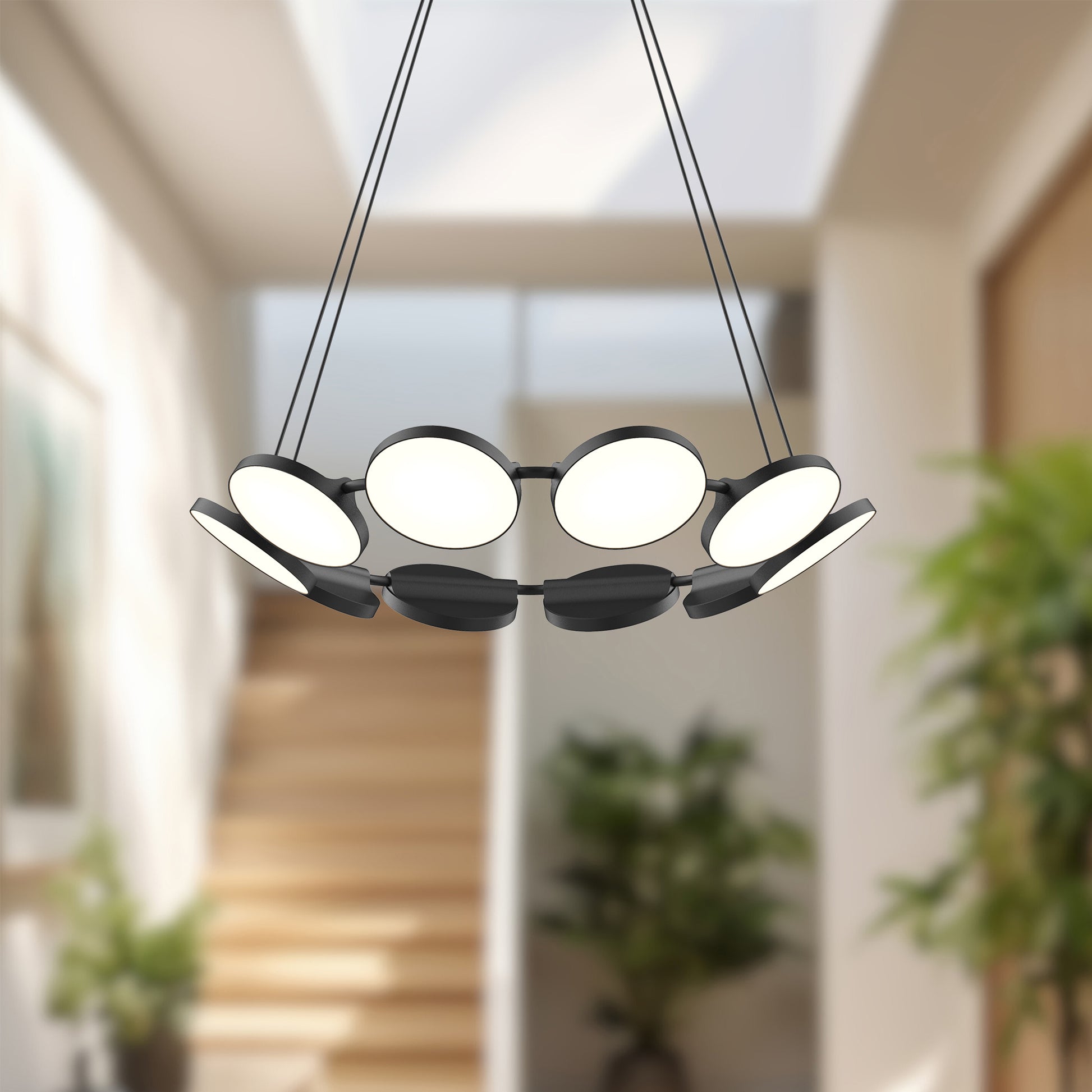 Novel Chandelier