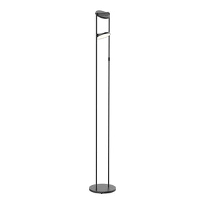 Novel Floor Lamp