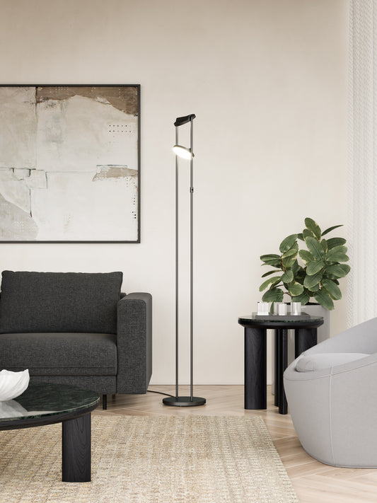Novel 68-in Black LED Floor Lamp