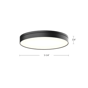 Novel Flush Mount