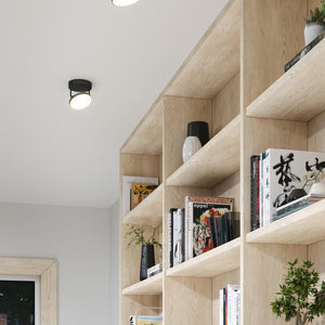 Novel Semi-Flush Mount