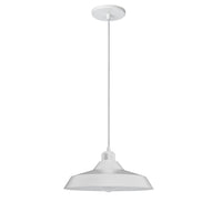 Olya 1LT Pendant