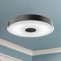 Parker Flush Mount