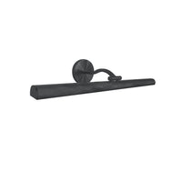 Reina 30W Picture Light Wall Sconce