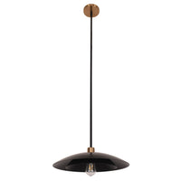 Pima 1LT Pendant