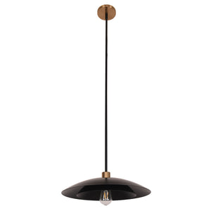 Pima 1LT Pendant