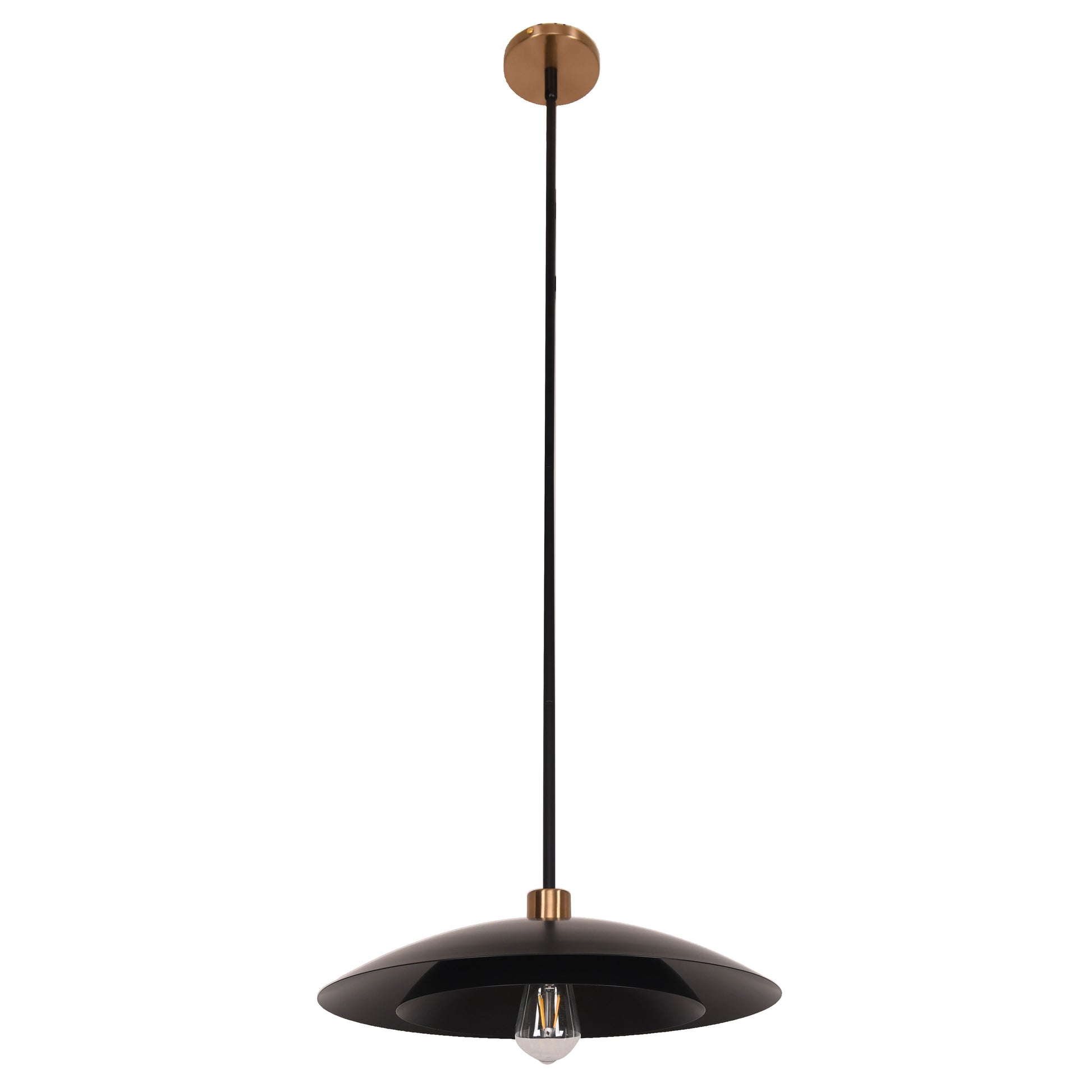 Pima 1LT Pendant